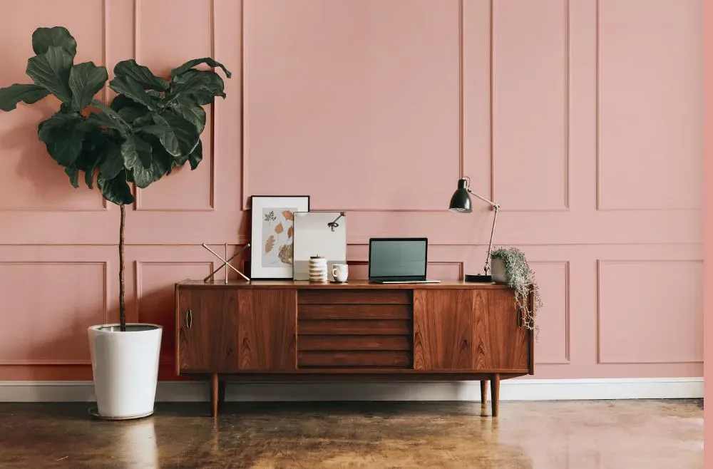 Benjamin Moore Eraser Pink modern interior
