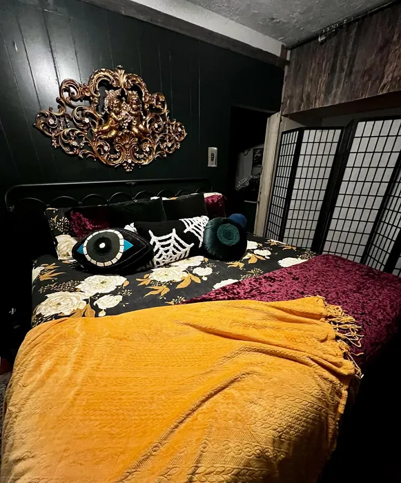 Benjamin Moore Essex Green Eclectic Bedroom