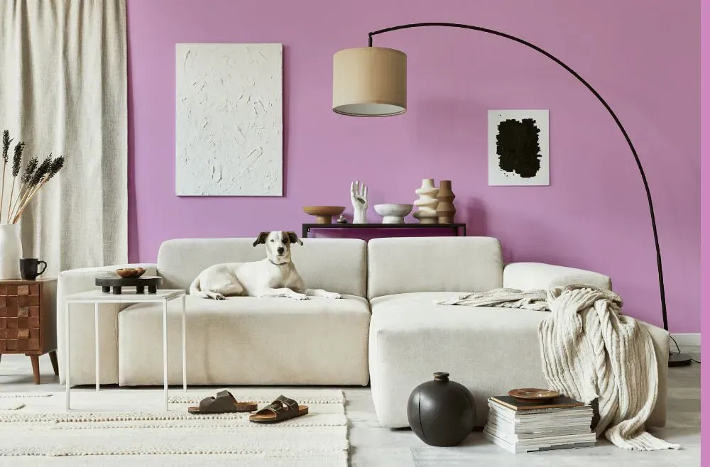 Benjamin Moore Exotic Fuchsia cozy living room