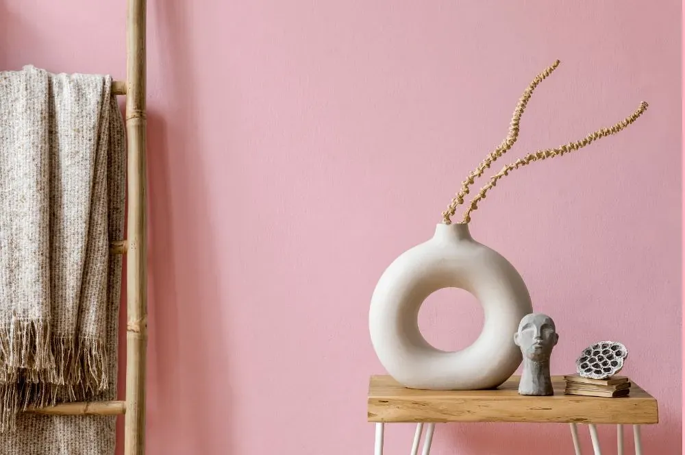 Benjamin Moore Exotic Pink wall