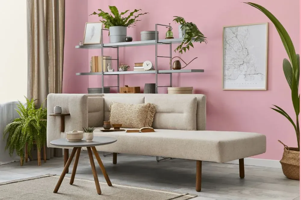 Benjamin Moore Exotic Pink living room