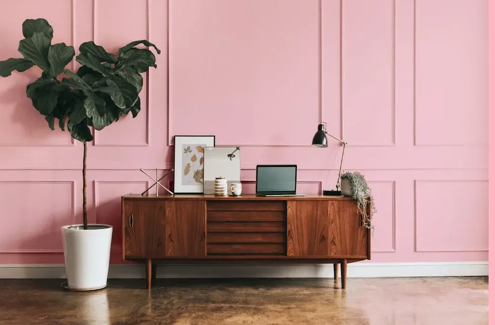 Benjamin Moore Exotic Pink modern interior