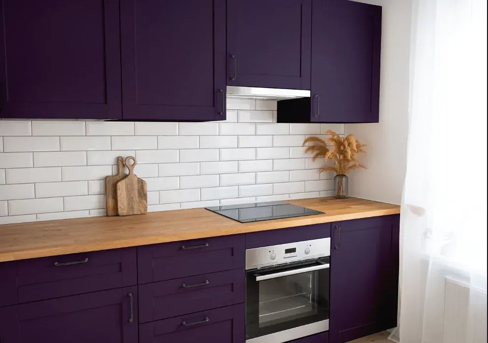 Benjamin Moore Exotic Purple kitchen cabinets