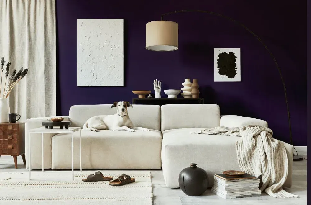 Benjamin Moore Exotic Purple cozy living room