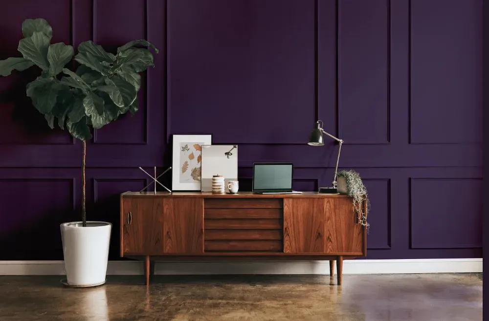 Benjamin Moore Exotic Purple modern interior