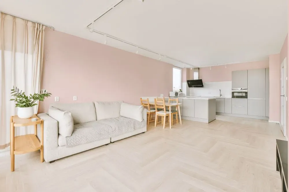 Benjamin Moore Fairest Pink living room interior