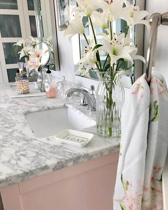 Benjamin Moore Fairest Pink bathroom vanity color