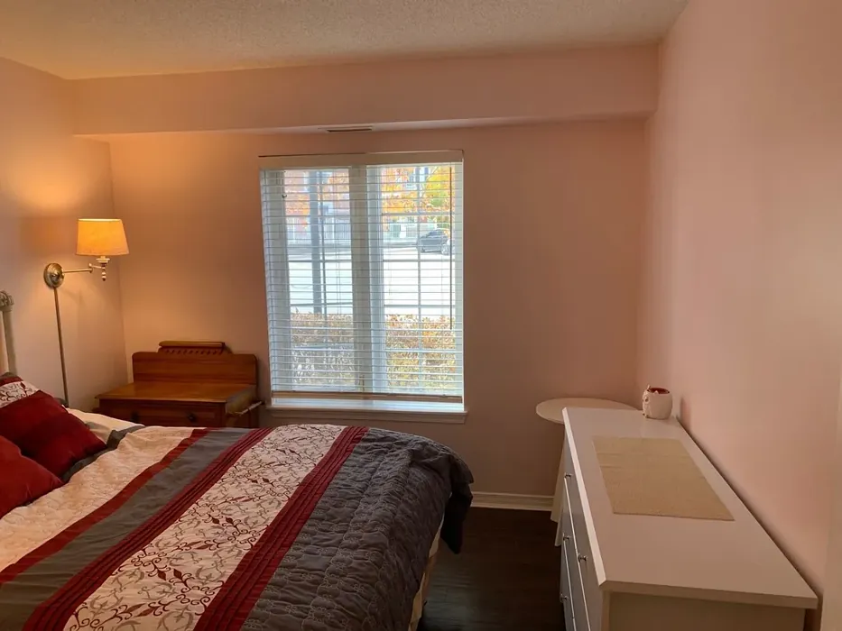 Fairest Pink bedroom color