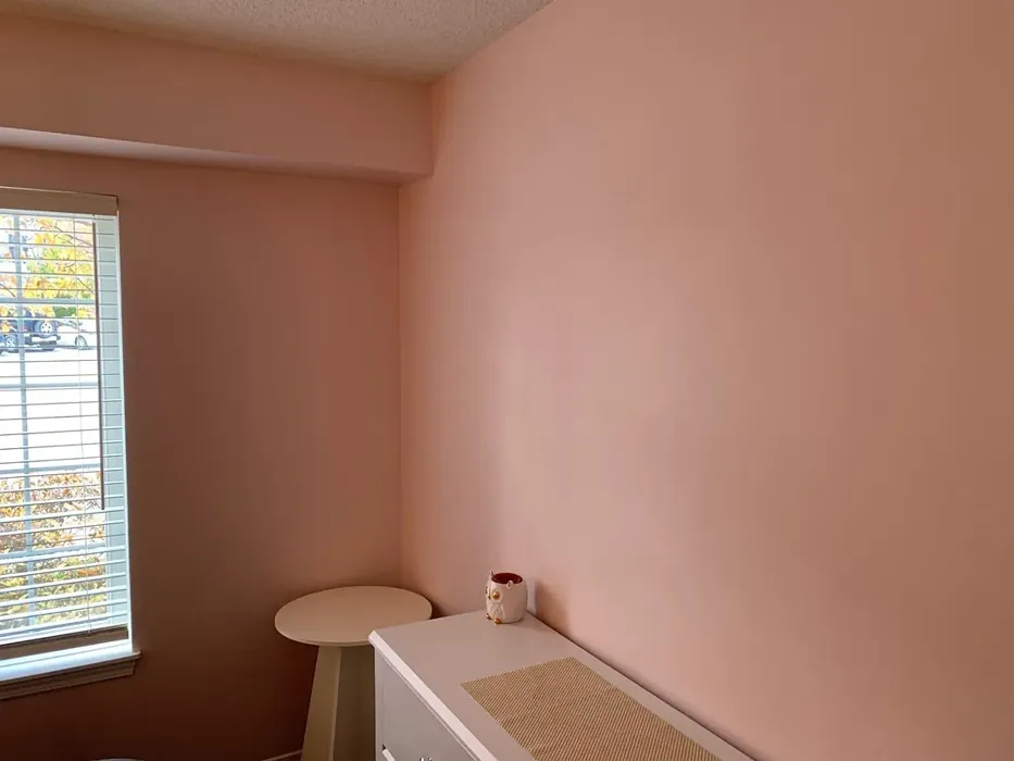 Fairest Pink bedroom interior