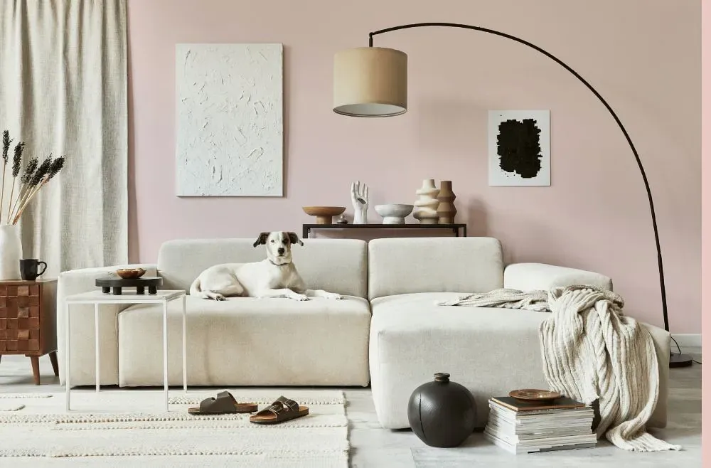 Benjamin Moore Fairest Pink cozy living room