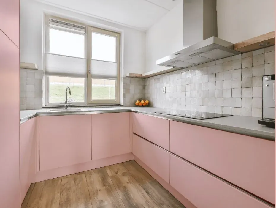 Benjamin Moore Fantasy Pink small kitchen cabinets