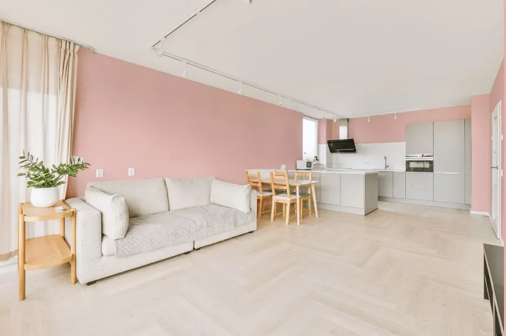 Benjamin Moore Fantasy Pink living room interior