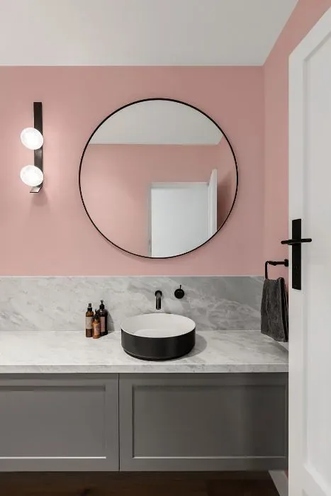 Benjamin Moore Fantasy Pink minimalist bathroom