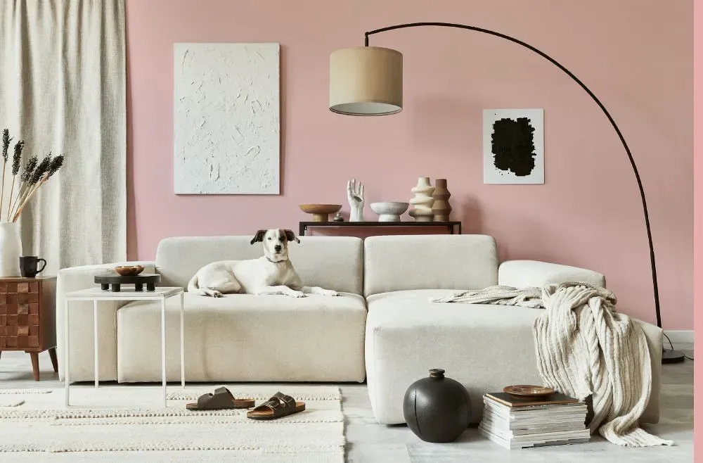 Benjamin Moore Fantasy Pink cozy living room