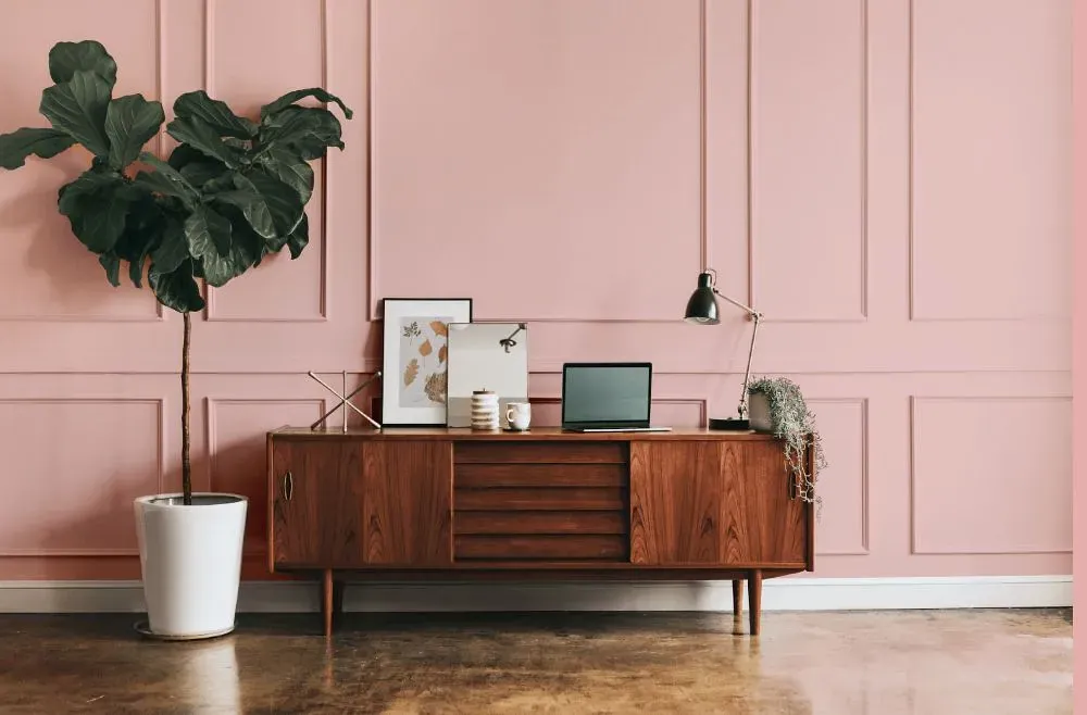 Benjamin Moore Fantasy Pink modern interior