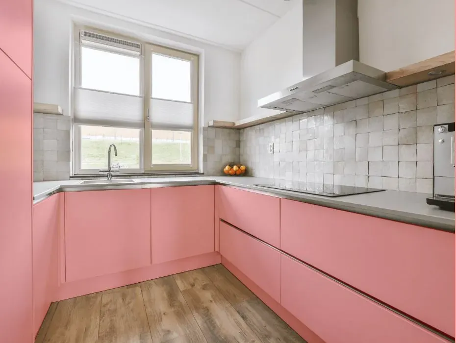 Benjamin Moore Fashion Pink small kitchen cabinets