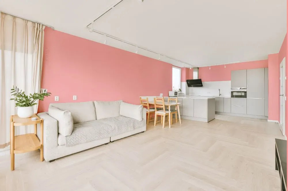 Benjamin Moore Fashion Pink living room interior