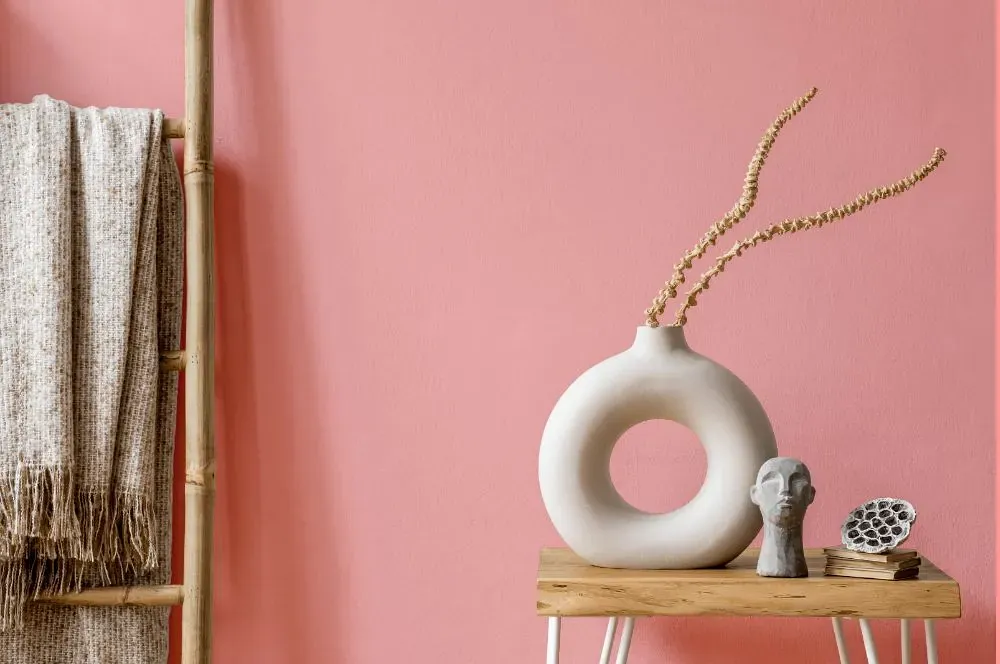 Benjamin Moore Fashion Pink wall