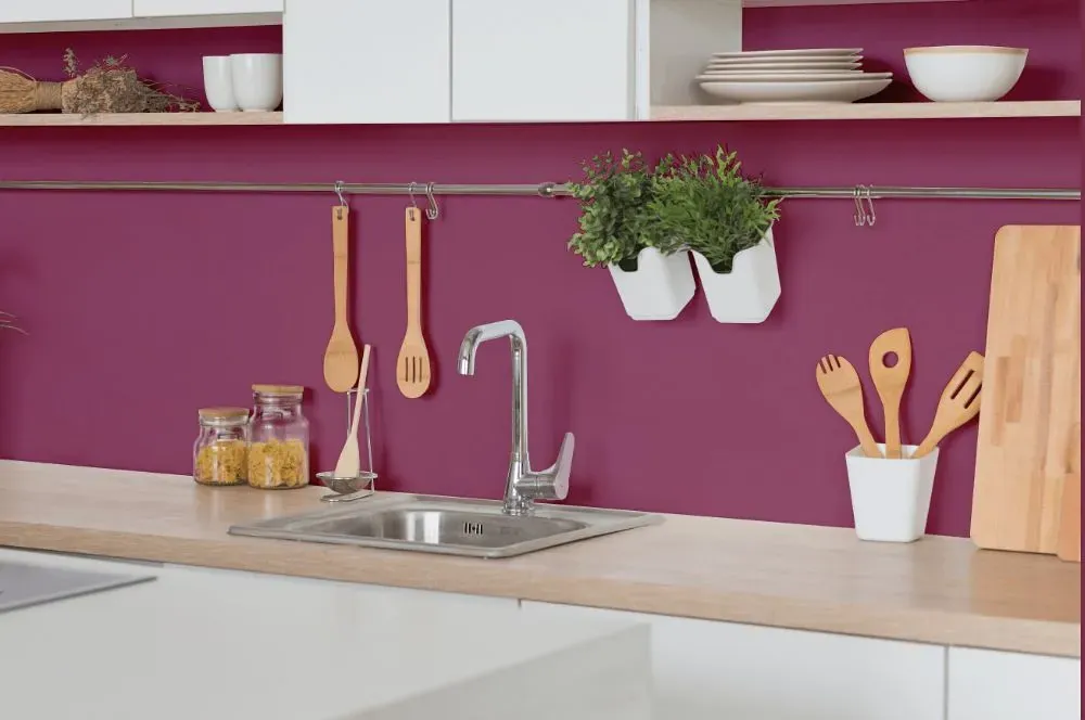 Benjamin Moore Fashion Rose kitchen backsplash