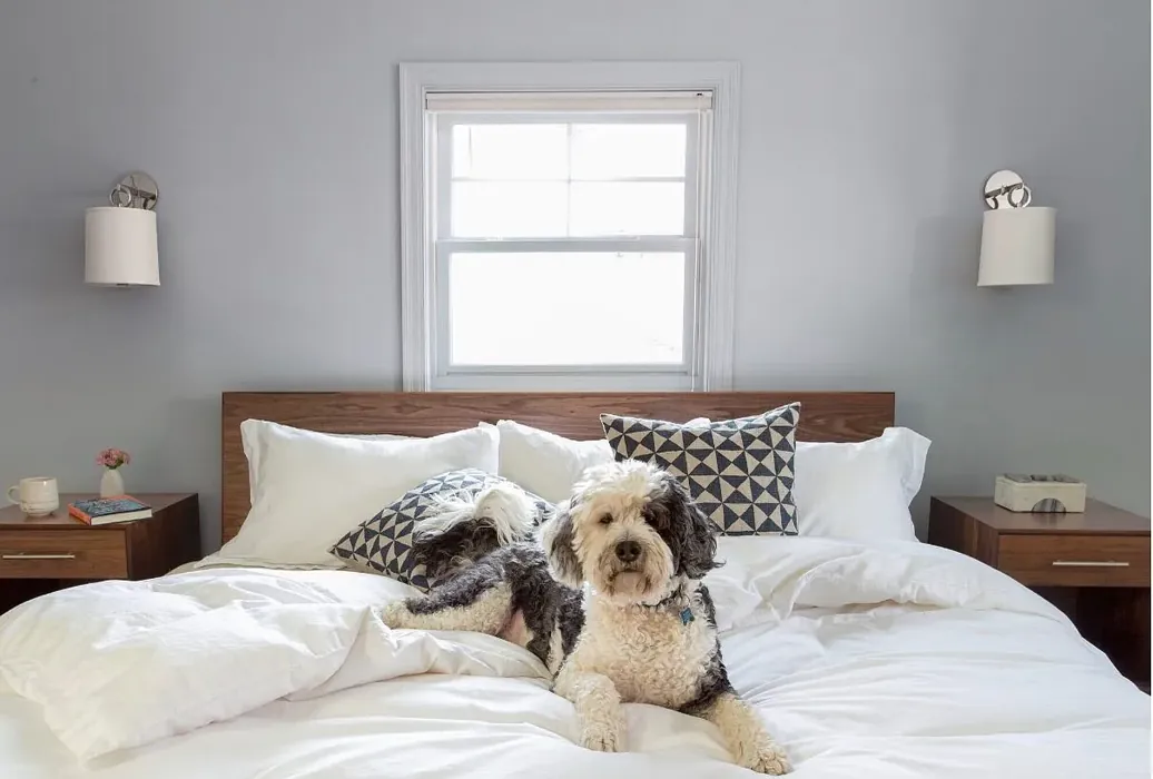 Benjamin Moore Feather Gray bedroom 