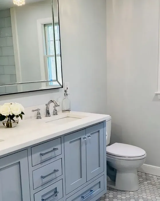 Benjamin Moore Feather Gray bathroom paint