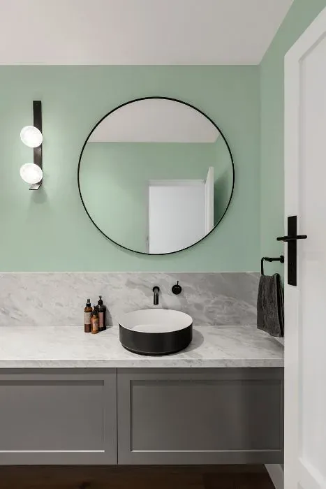 Benjamin Moore Feather Green minimalist bathroom