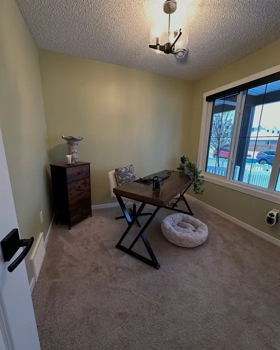 Fernwood Green home office color