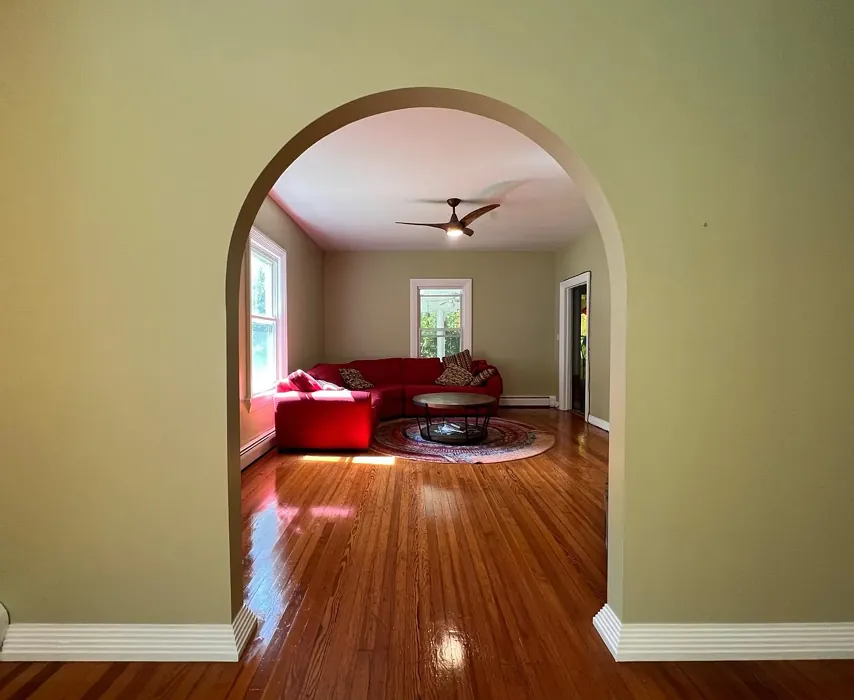 Fernwood Green living room color