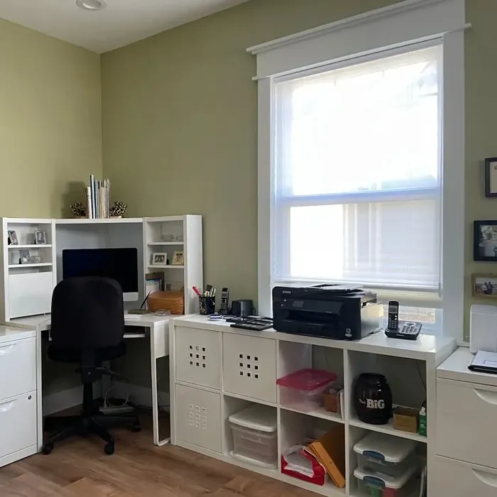 Fernwood Green home office paint
