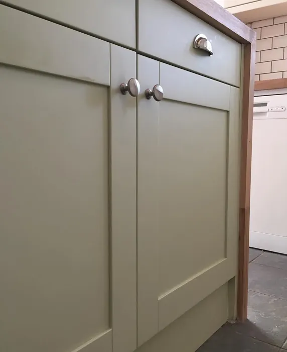 Fernwood Green kitchen cabinets 