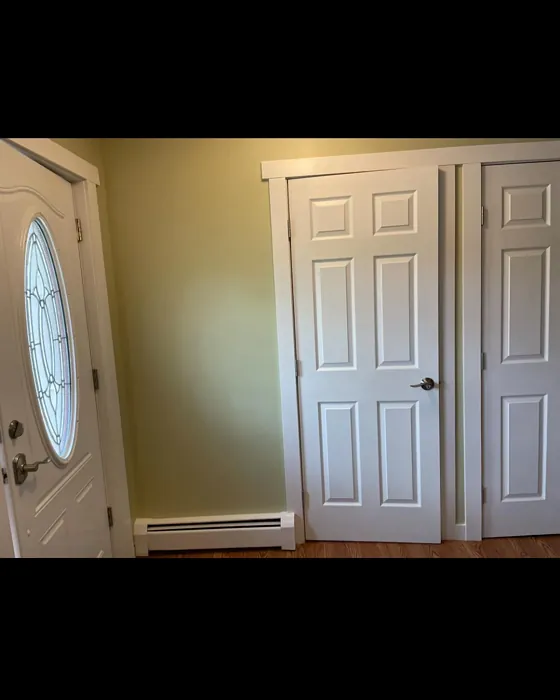 Fernwood Green hallway color review
