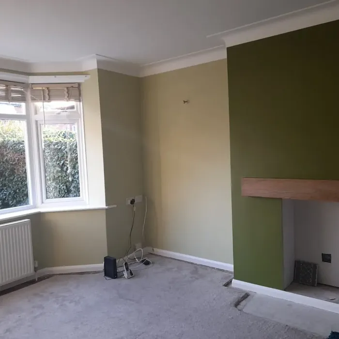 Fernwood Green living room paint review