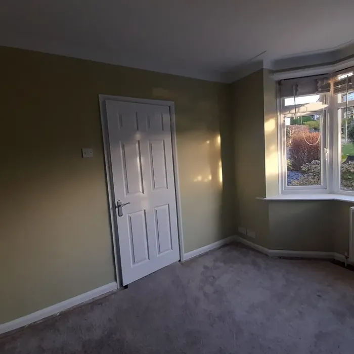 Fernwood Green living room review