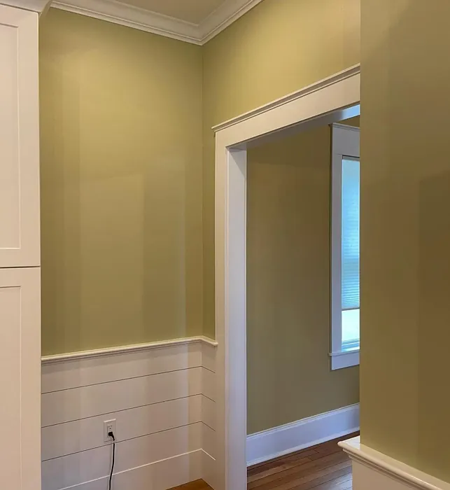 Benjamin Moore Fernwood Green hallway 
