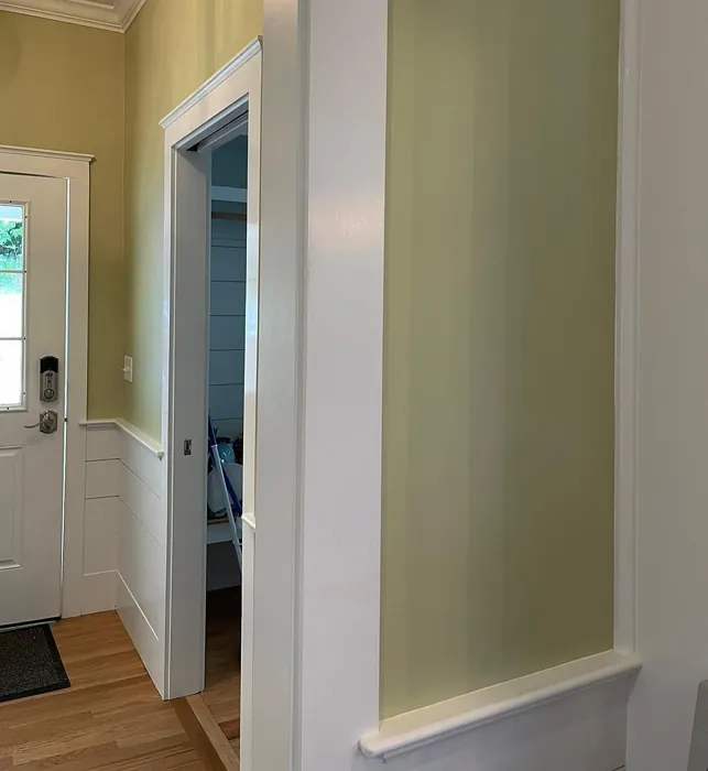Benjamin Moore Fernwood Green hallway makeover
