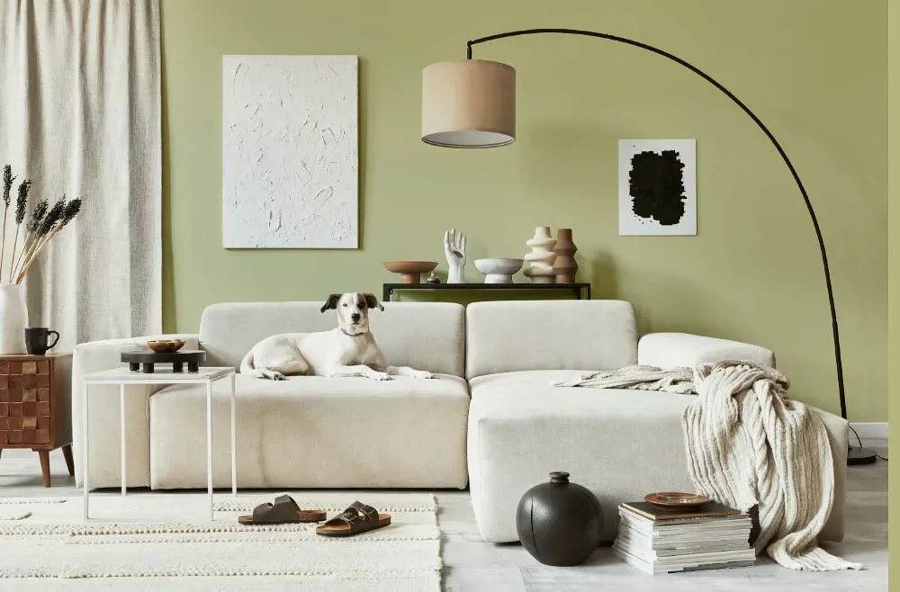 Benjamin Moore Fernwood Green cozy living room