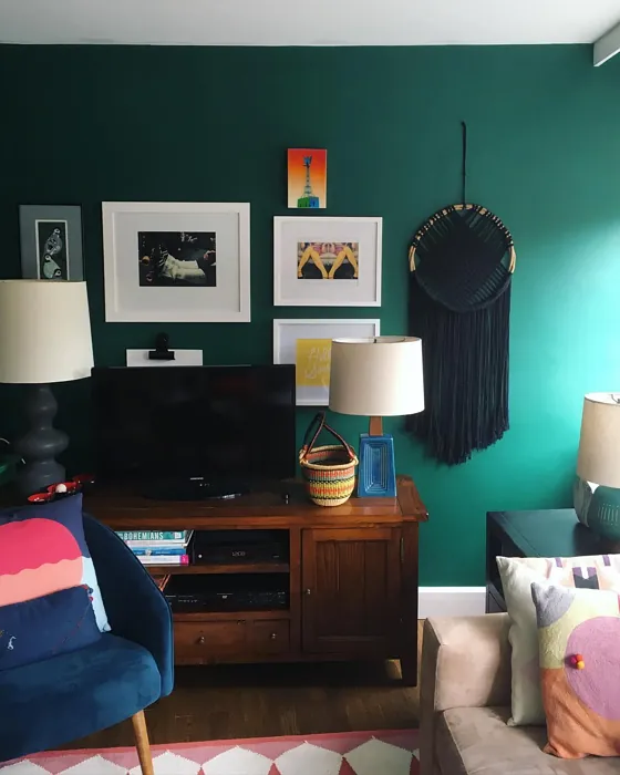 Benjamin Moore Fiddlehead Green living room review