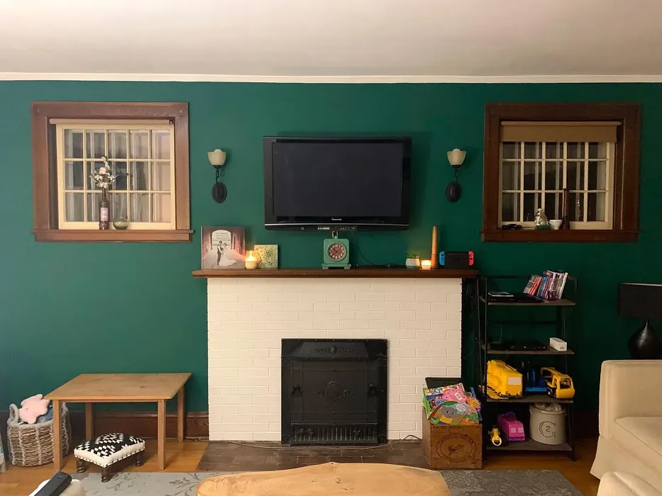 Benjamin Moore Fiddlehead Green living room paint