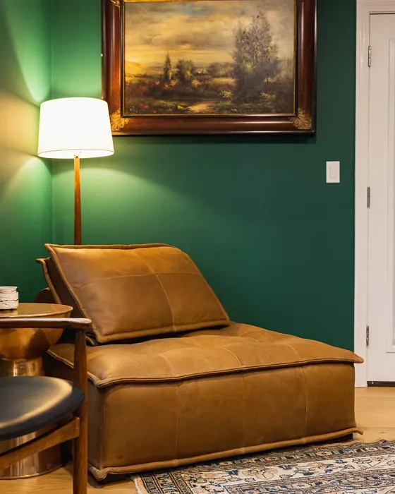Benjamin Moore Fiddlehead Green living room paint review