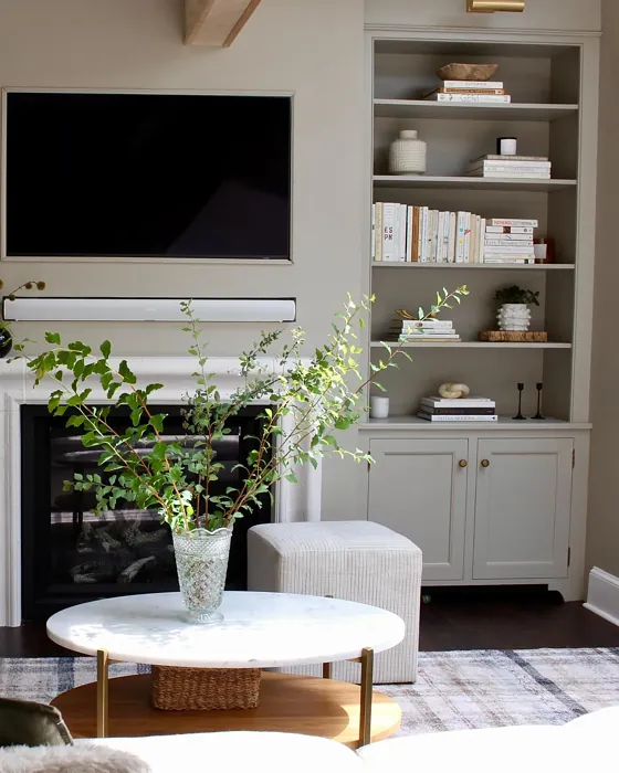 Finnie Gray living room fireplace 