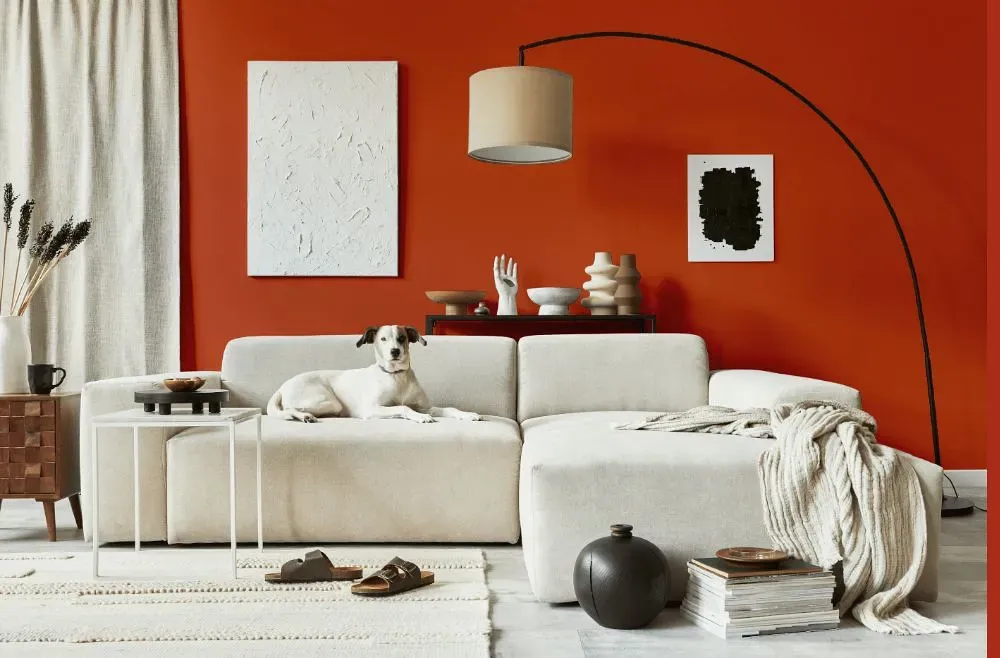 Benjamin Moore Fireball Orange cozy living room