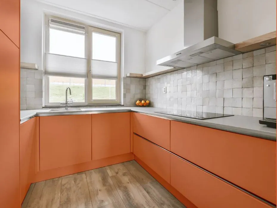 Benjamin Moore Flamingo Orange small kitchen cabinets