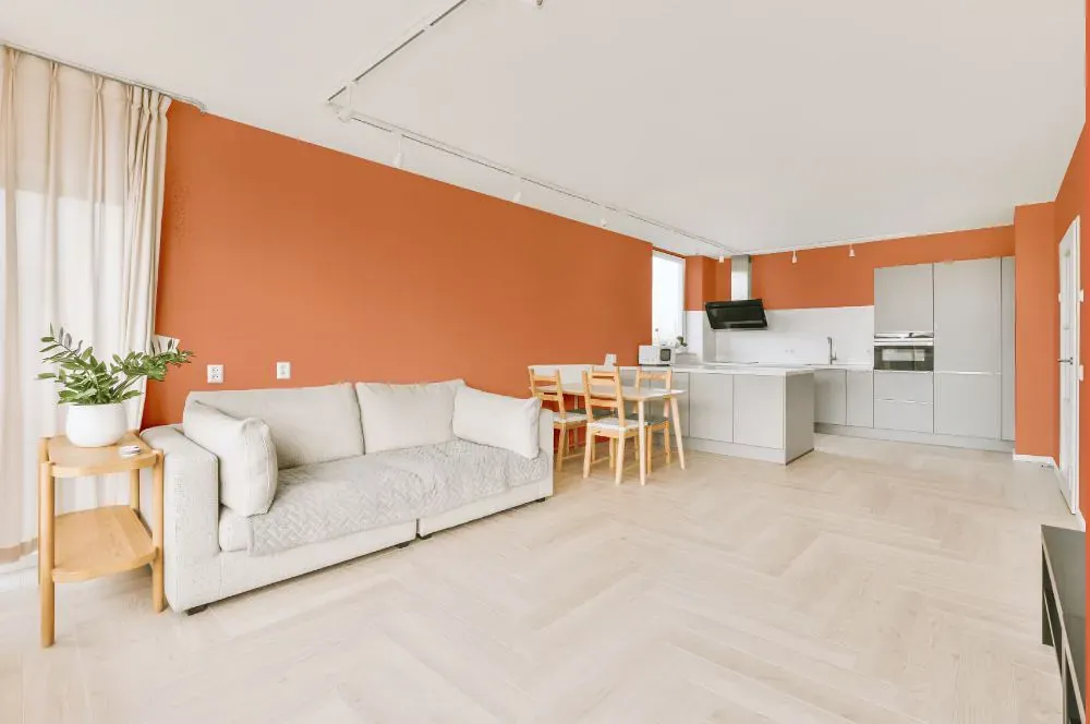 Benjamin Moore Flamingo Orange living room interior