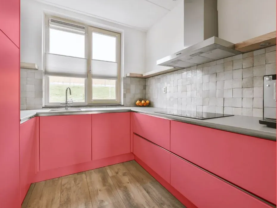 Benjamin Moore Flamingo's Dream small kitchen cabinets