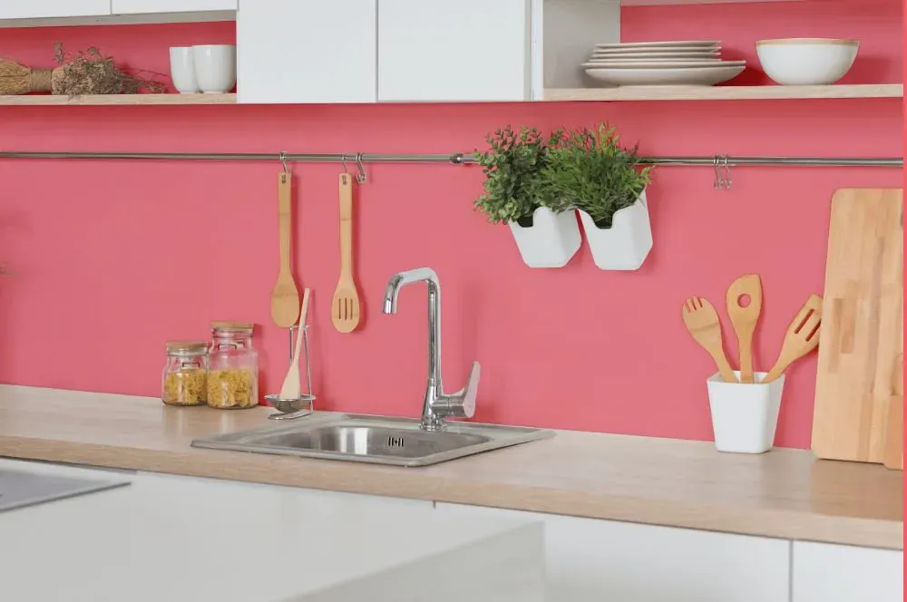 Benjamin Moore Flamingo's Dream kitchen backsplash