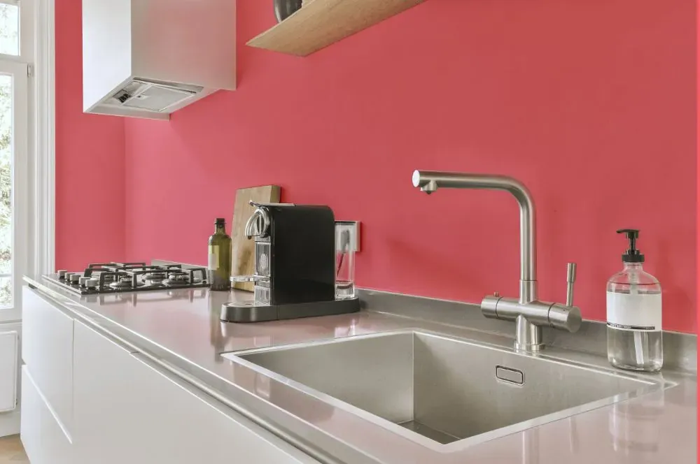 Benjamin Moore Flamingo's Dream kitchen painted backsplash