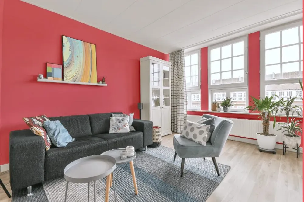 Benjamin Moore Flamingo's Dream living room walls