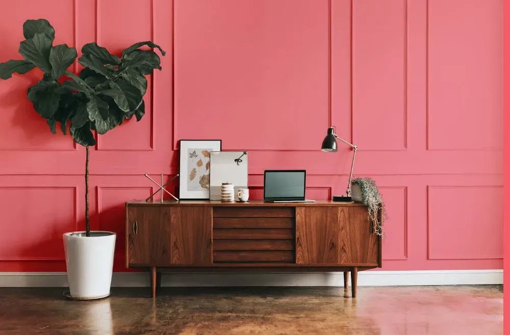 Benjamin Moore Flamingo's Dream modern interior