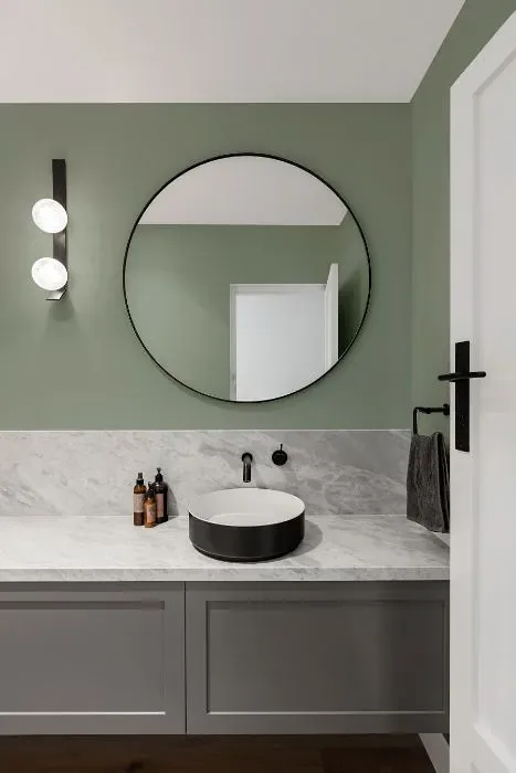 Benjamin Moore Flora minimalist bathroom
