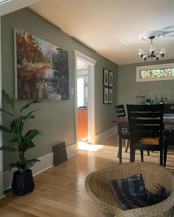 Benjamin Moore Flora dining room color review